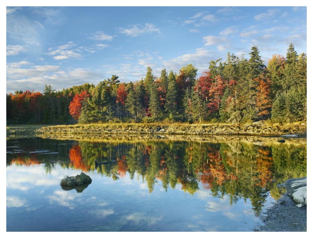 Coastline, Mount Desert Island, Maine-Paper Art-50,,X38,,