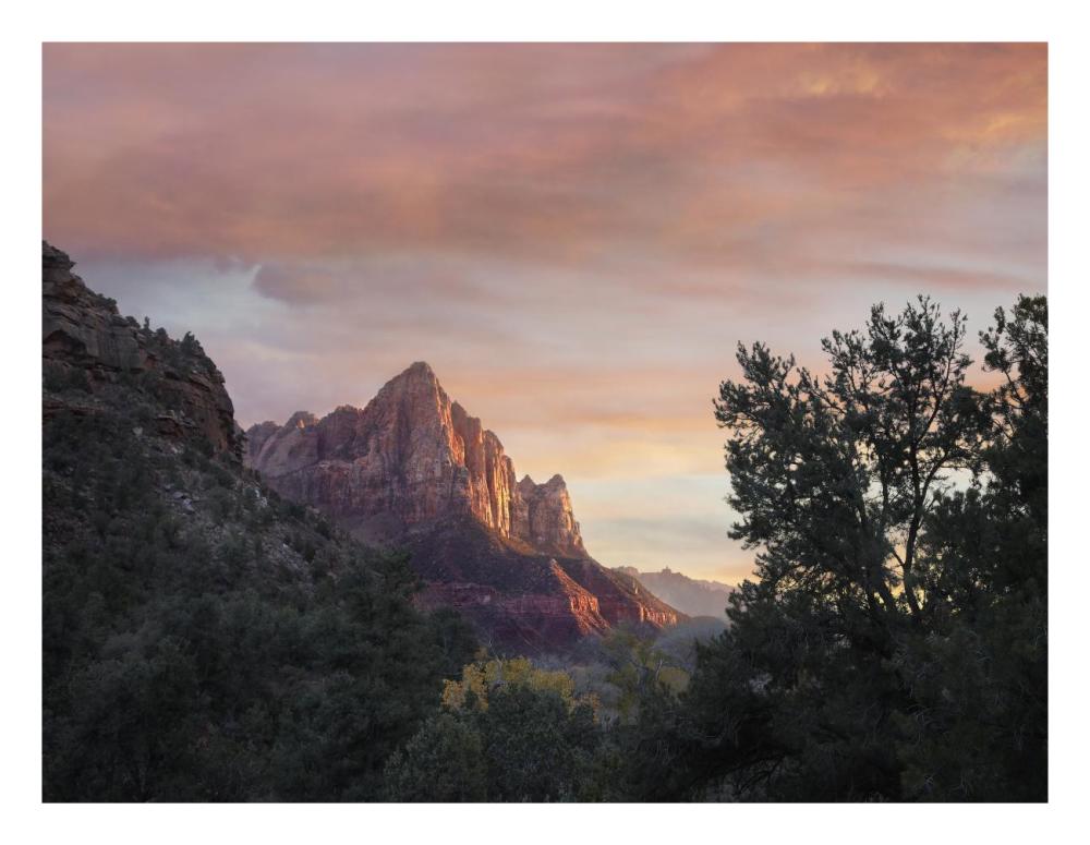 The Watchman, Zion National Park, Utah-Paper Art-26,,X20,,