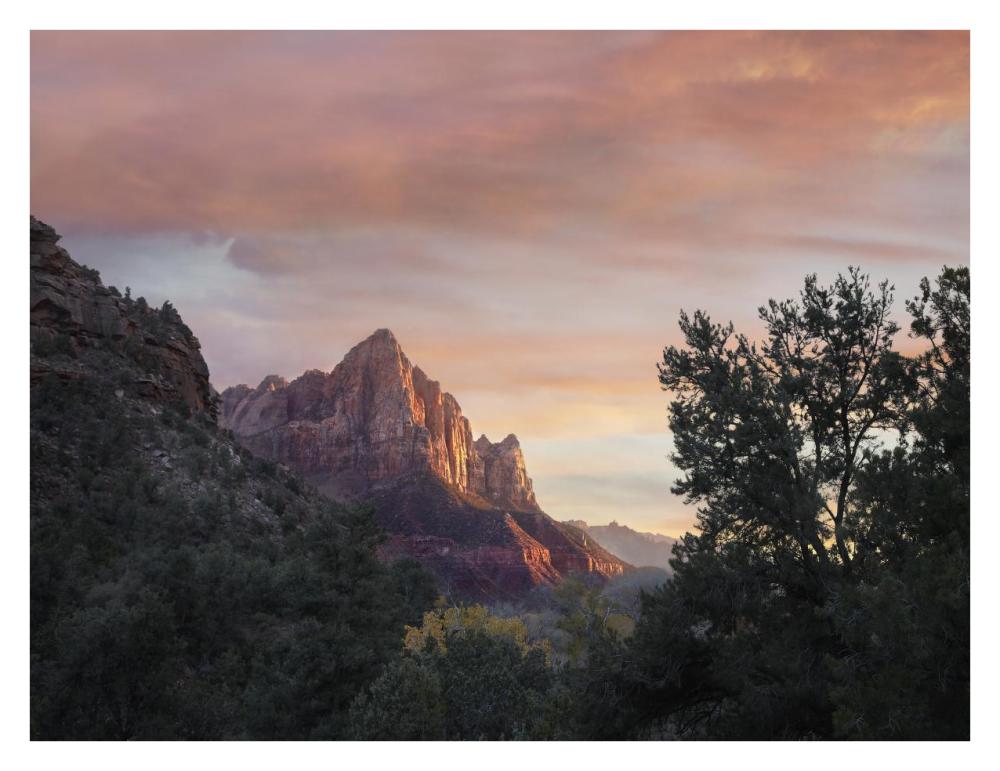 The Watchman, Zion National Park, Utah-Paper Art-34,,X26,,