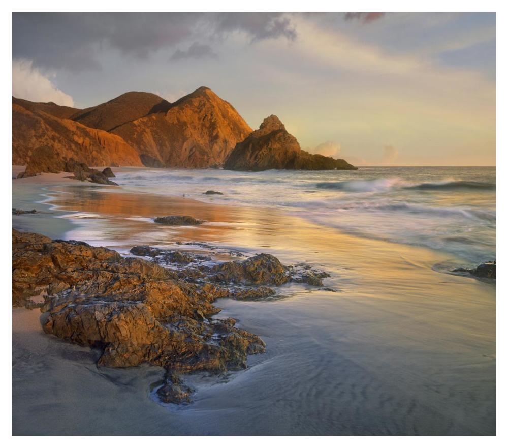 Bean Hollow Beach, Big Sur, California-Paper Art-42,,X37.2,,