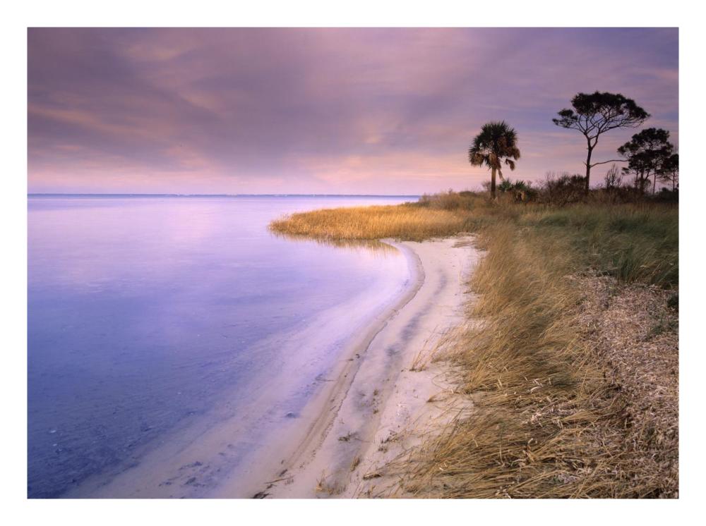 Beach Along Saint Joseph'S Bay, Florida-Paper Art-26,,X20,,
