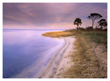 Beach Along Saint Joseph'S Bay, Florida-Paper Art-42,,X32,,