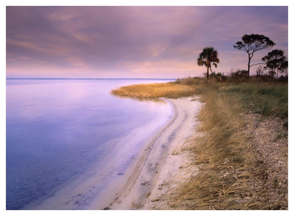 Beach Along Saint Joseph'S Bay, Florida-Paper Art-50,,X38,,