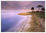 Beach Along Saint Joseph'S Bay, Florida-Paper Art-50,,X38,,