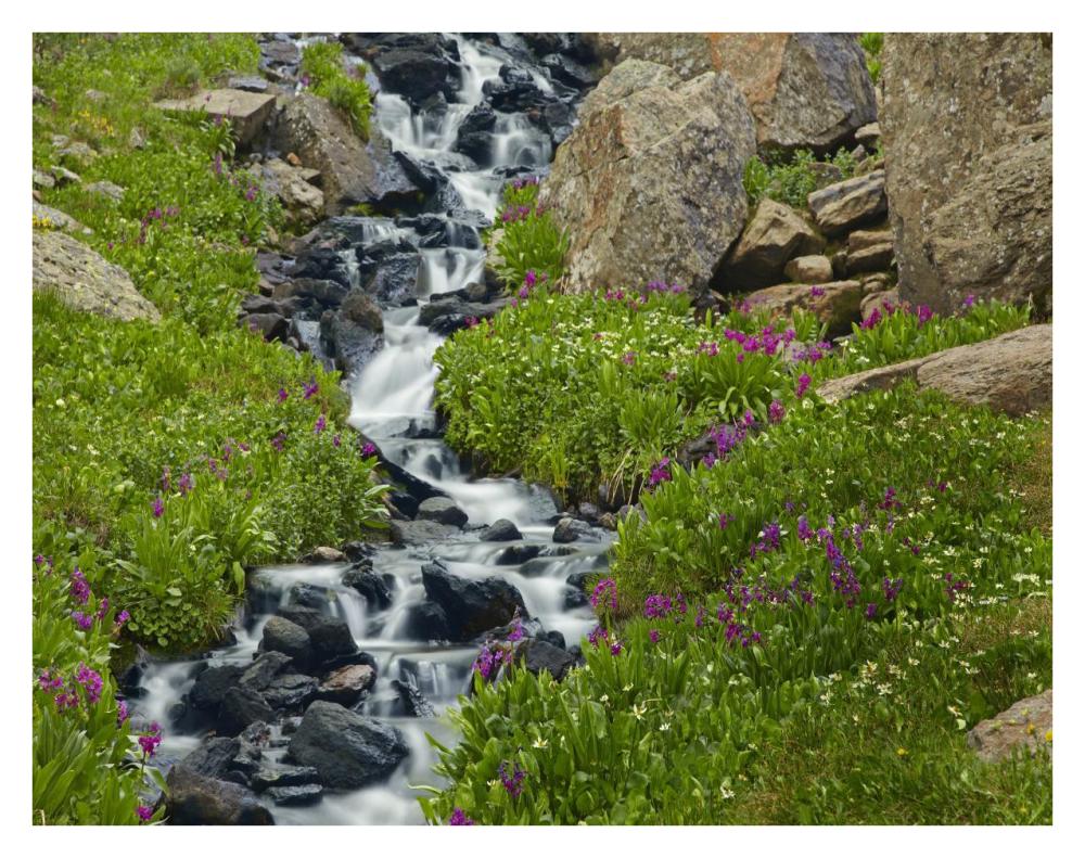 Porphyry Creek Near Silverton, Colorado-Paper Art-34,,X26,,