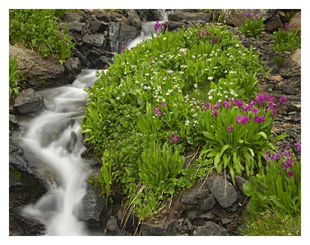 Porphyry Creek Near Silverton, Colorado-Paper Art-18,,X14,,
