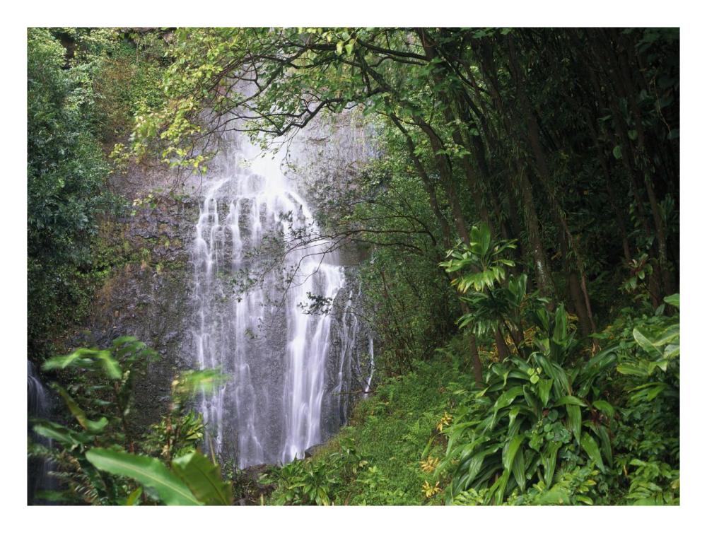 Waterfall Along Hana Coast, Maui, Hawaii-Paper Art-26,,X20,,