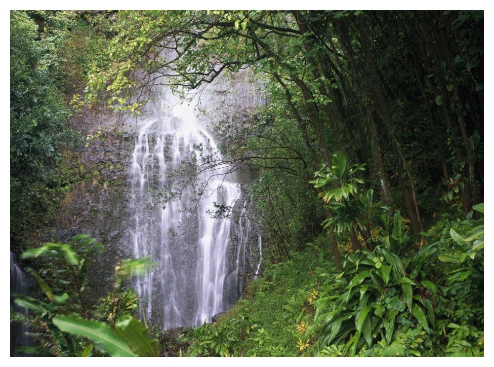 Waterfall Along Hana Coast, Maui, Hawaii-Paper Art-50,,X38,,