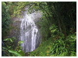 Waterfall Along Hana Coast, Maui, Hawaii-Paper Art-50,,X38,,