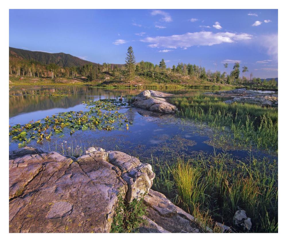 Scout Lake, San Juan Mountains, Colorado-Paper Art-32,,X26.9,,