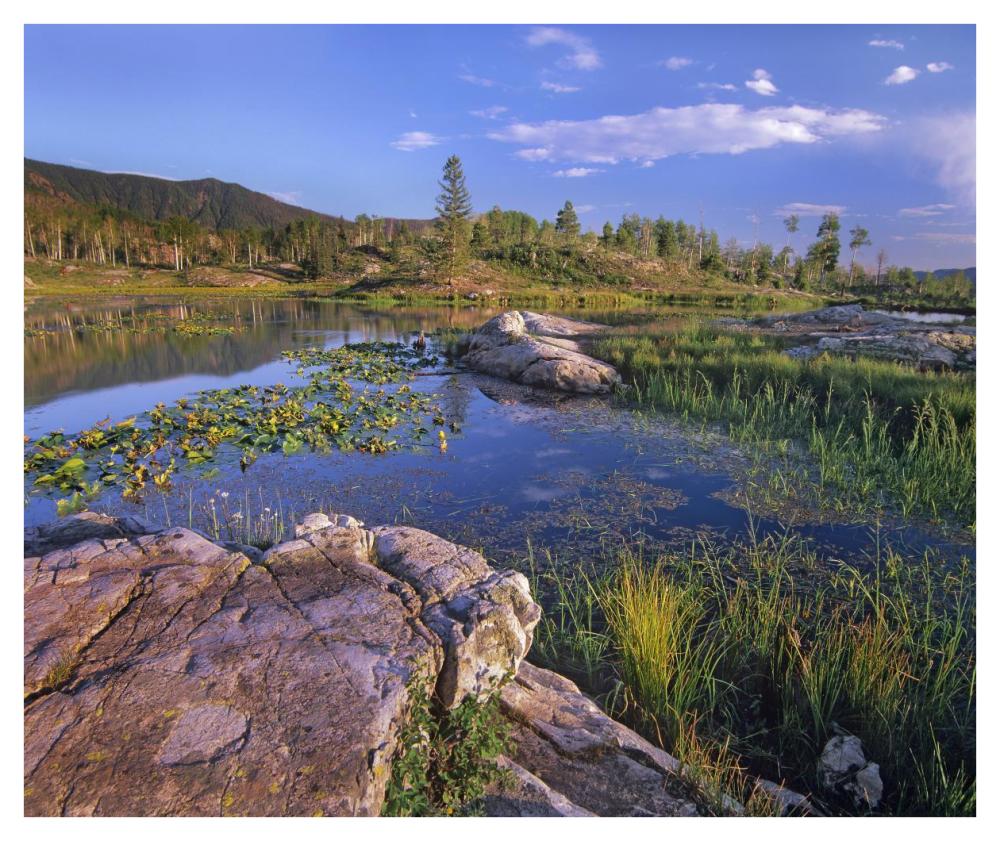 Scout Lake, San Juan Mountains, Colorado-Paper Art-42,,X35.2,,