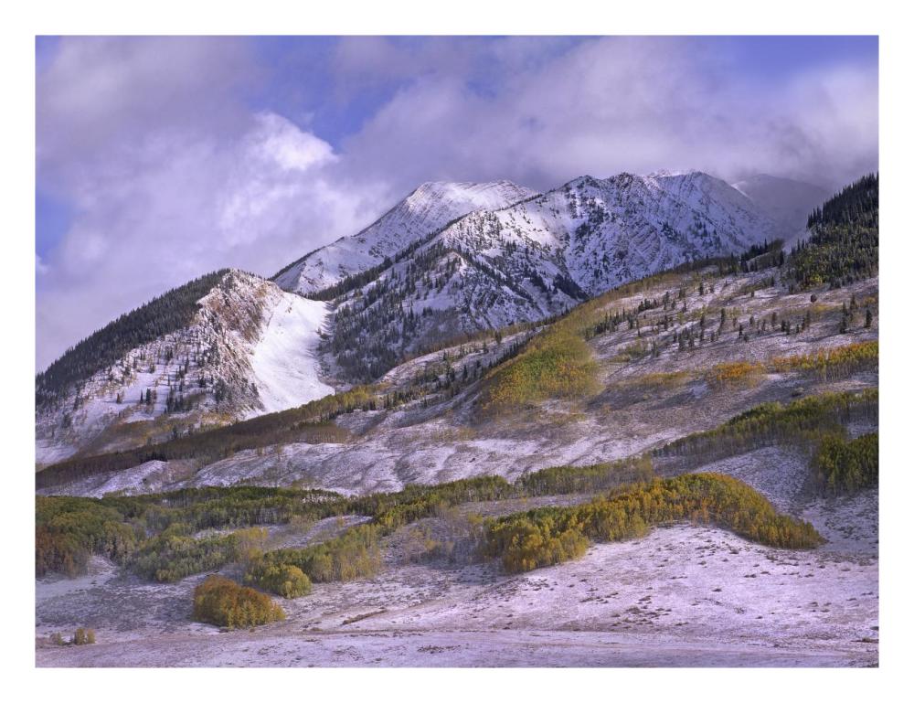 Elk Mountains With Snow In Autumn, Colorado-Paper Art-26,,X20,,