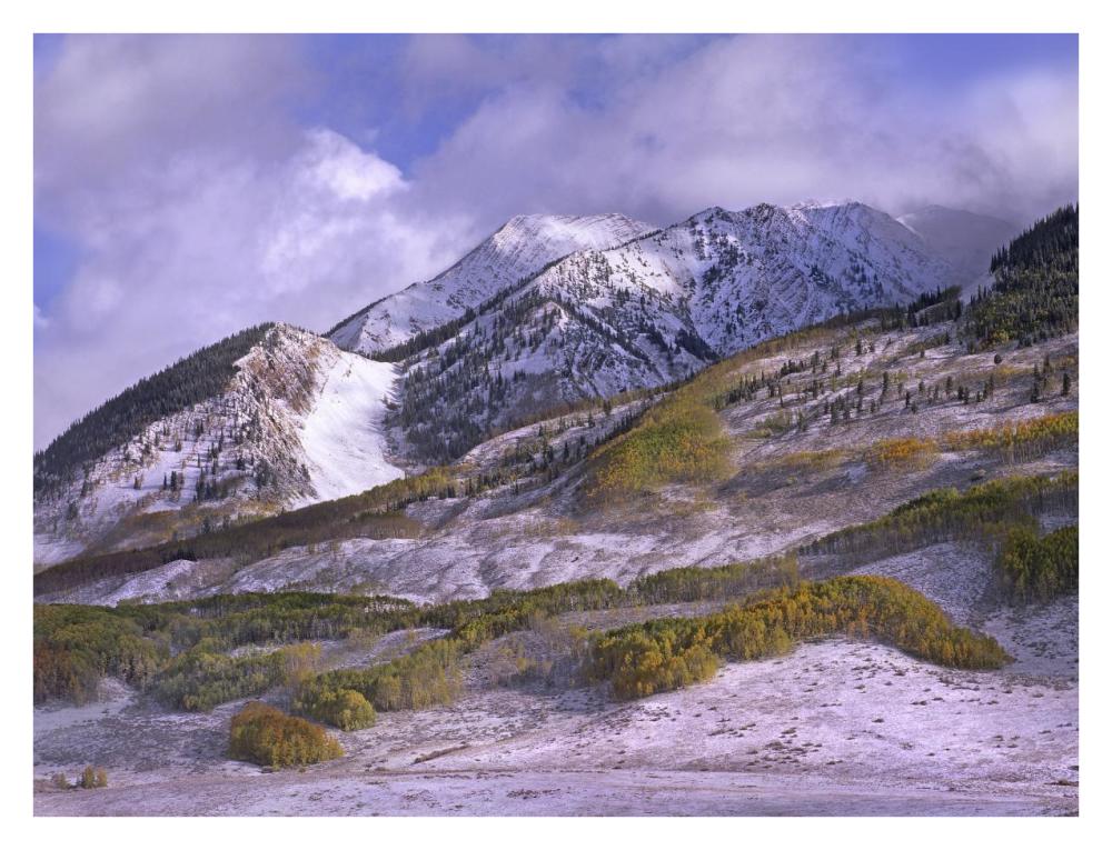 Elk Mountains With Snow In Autumn, Colorado-Paper Art-34,,X26,,