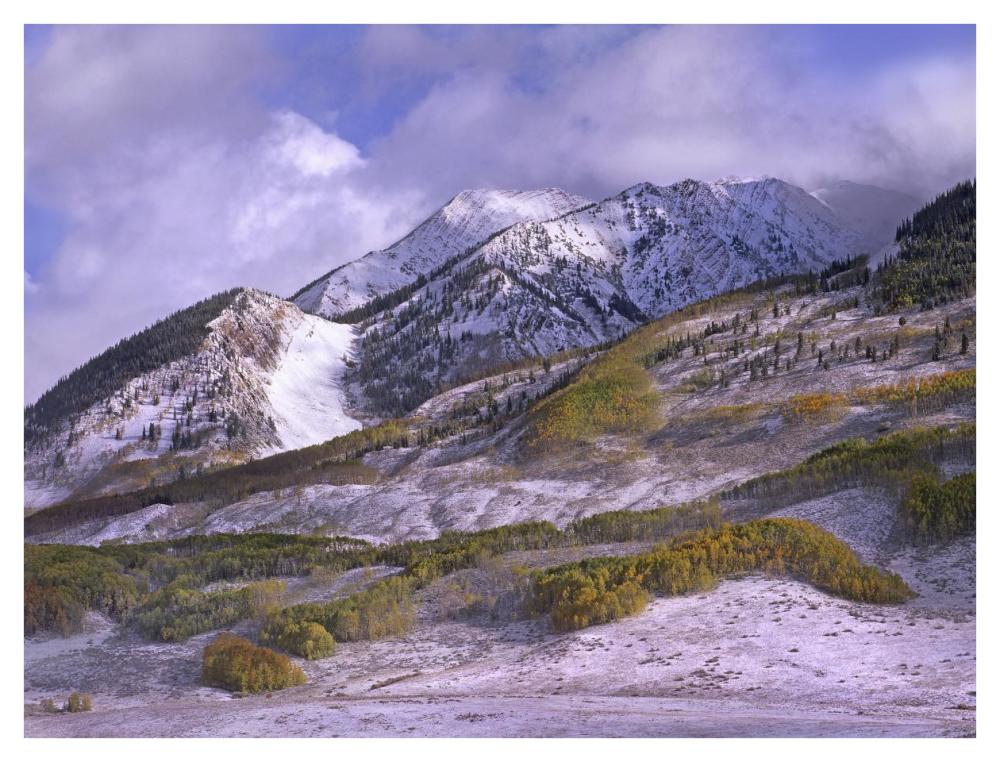 Elk Mountains With Snow In Autumn, Colorado-Paper Art-42,,X32,,