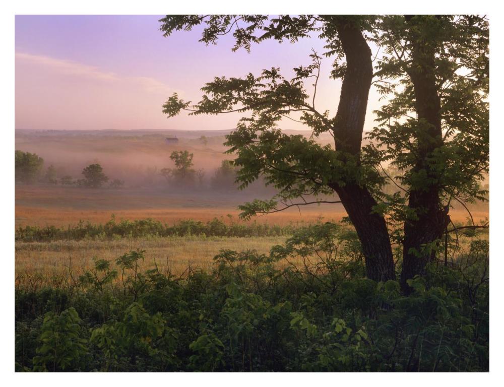 Tallgrass Prairie National Preserve, Kansas-Paper Art-18,,X14,,
