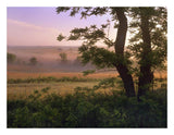 Tallgrass Prairie National Preserve, Kansas-Paper Art-26,,X20,,