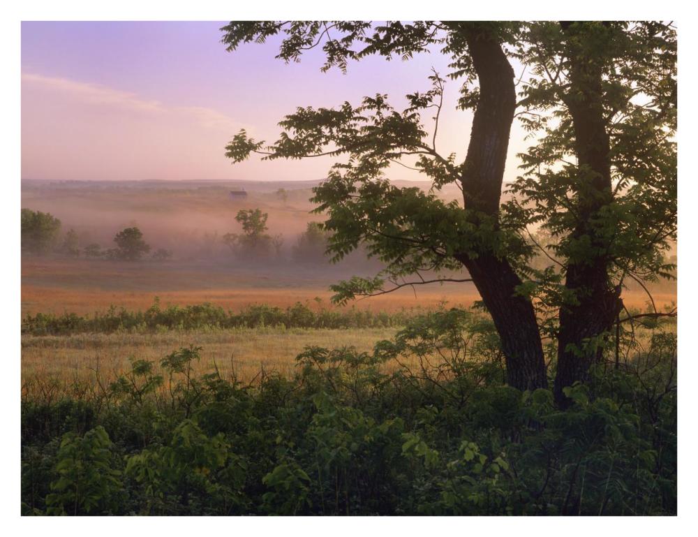 Tallgrass Prairie National Preserve, Kansas-Paper Art-34,,X26,,