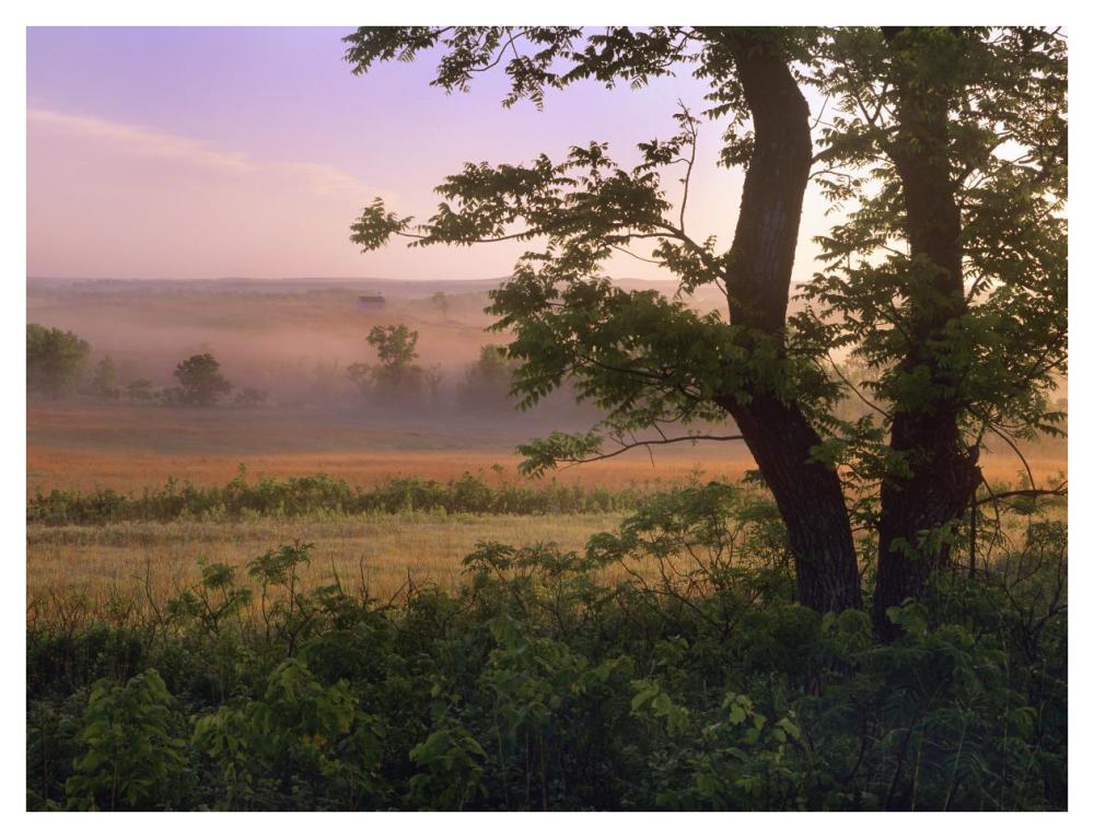 Tallgrass Prairie National Preserve, Kansas-Paper Art-42,,X32,,