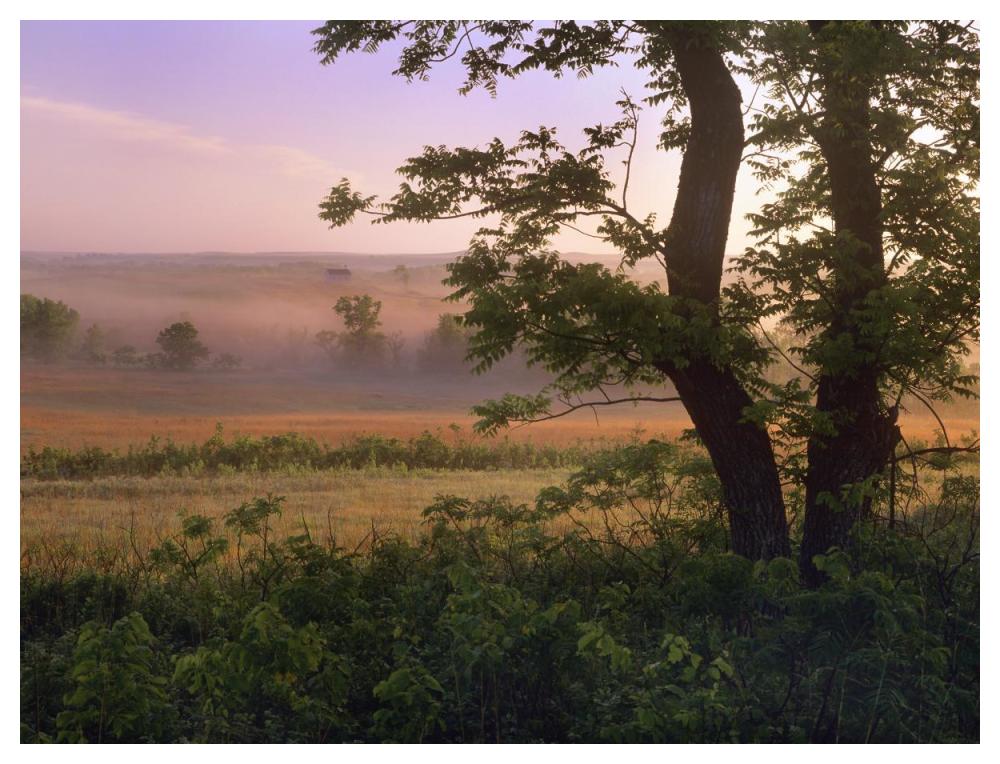 Tallgrass Prairie National Preserve, Kansas-Paper Art-50,,X38,,