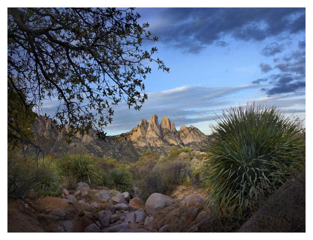 Organ Mountains Near Las Cruces, New Mexico-Paper Art-42,,X32,,