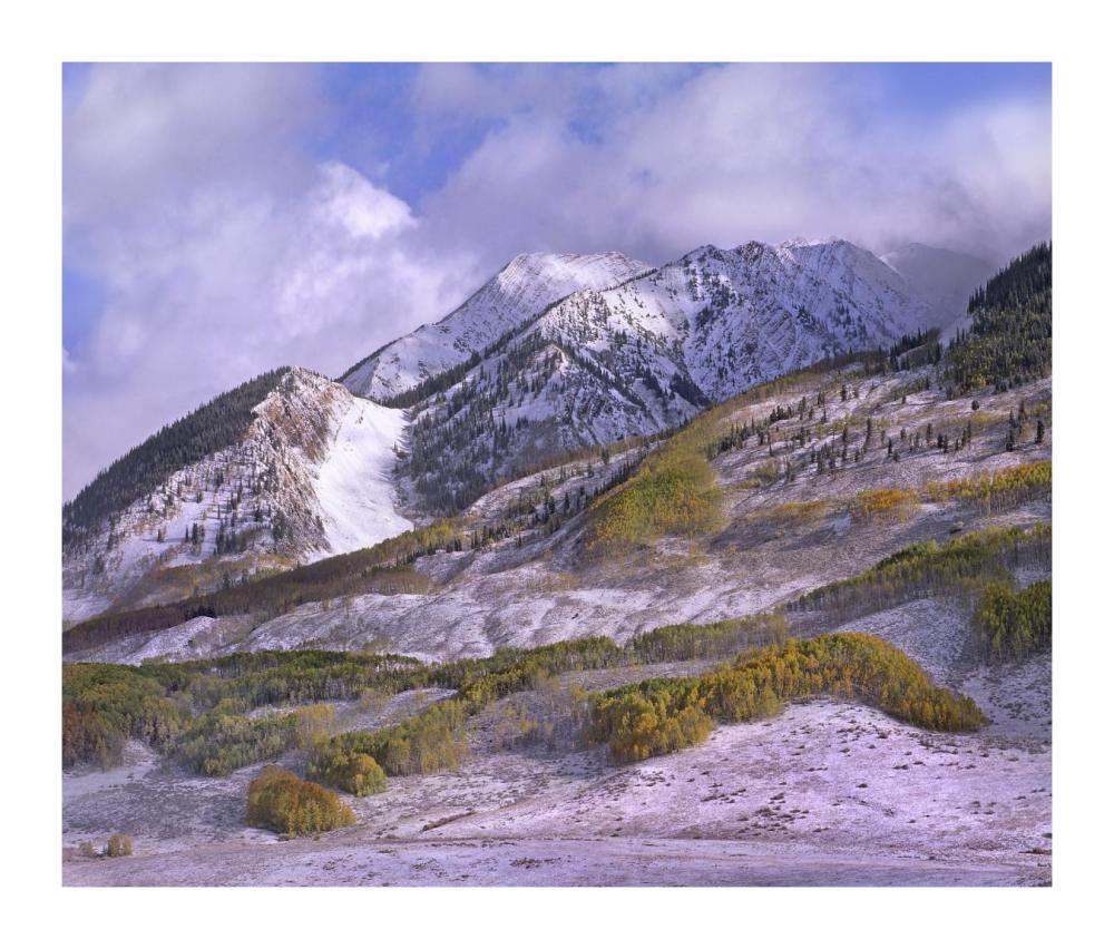 Elk Mountains With Snow In Autumn, Colorado-Paper Art-18,,X15.28,,