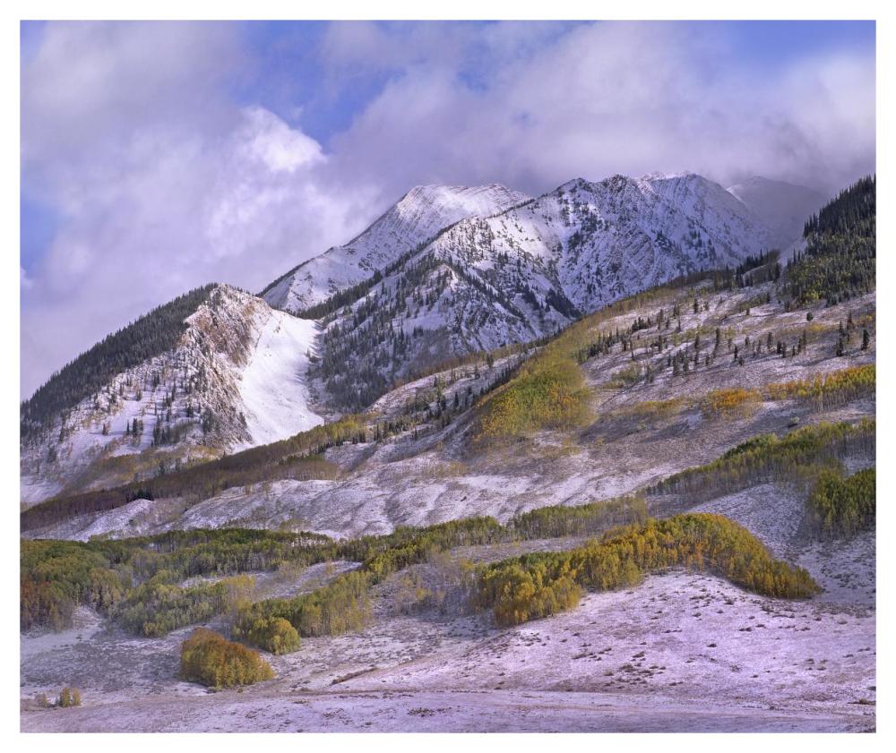 Elk Mountains With Snow In Autumn, Colorado-Paper Art-46,,X38.52,,