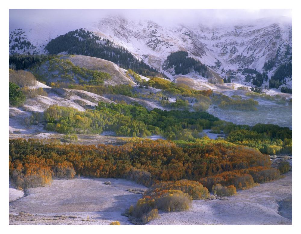 Elk Mountains With Dusting Of Snow, Colorado-Paper Art-18,,X14,,