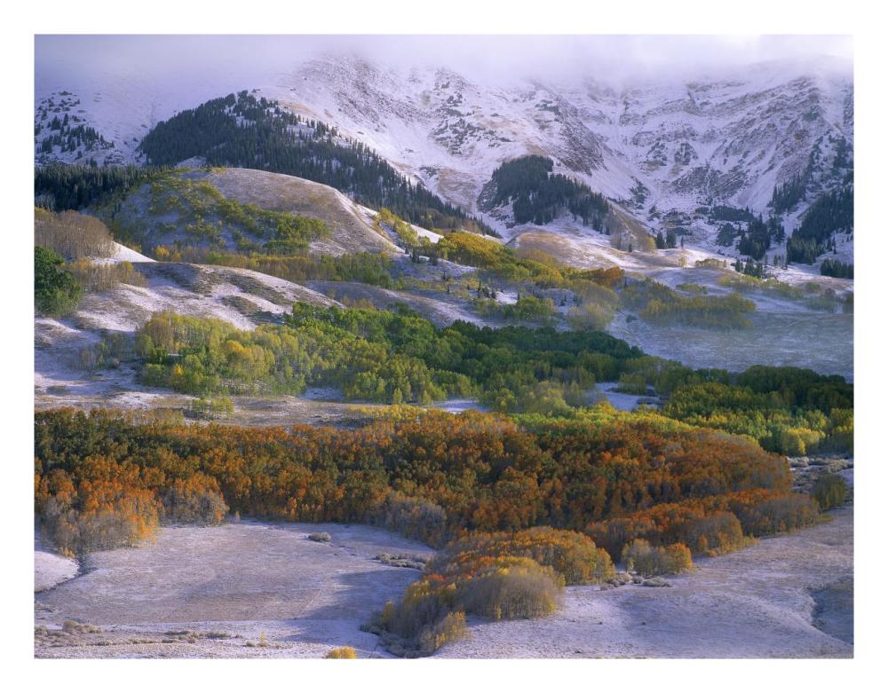 Elk Mountains With Dusting Of Snow, Colorado-Paper Art-26,,X20,,