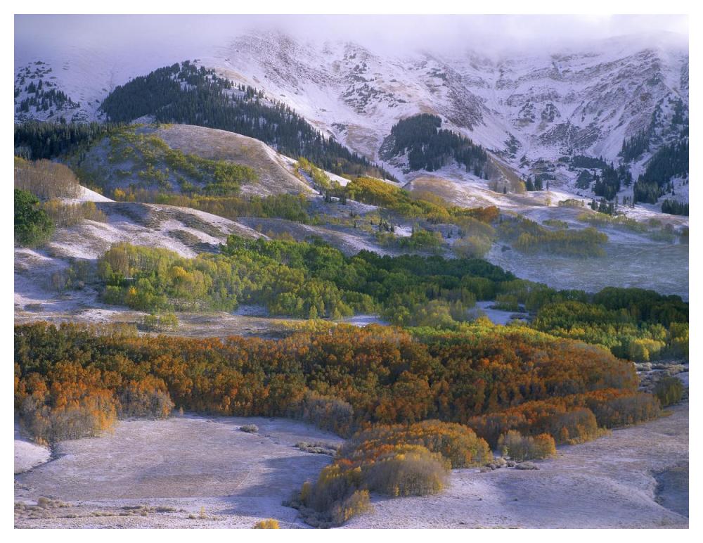 Elk Mountains With Dusting Of Snow, Colorado-Paper Art-50,,X38,,