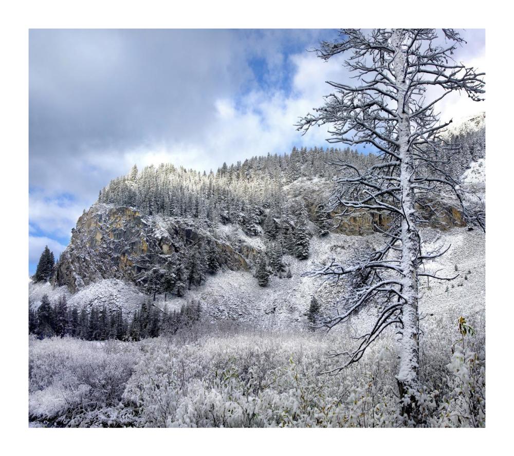Light Snow Covering Boulder Mountains, Idaho-Paper Art-18,,X16.08,,
