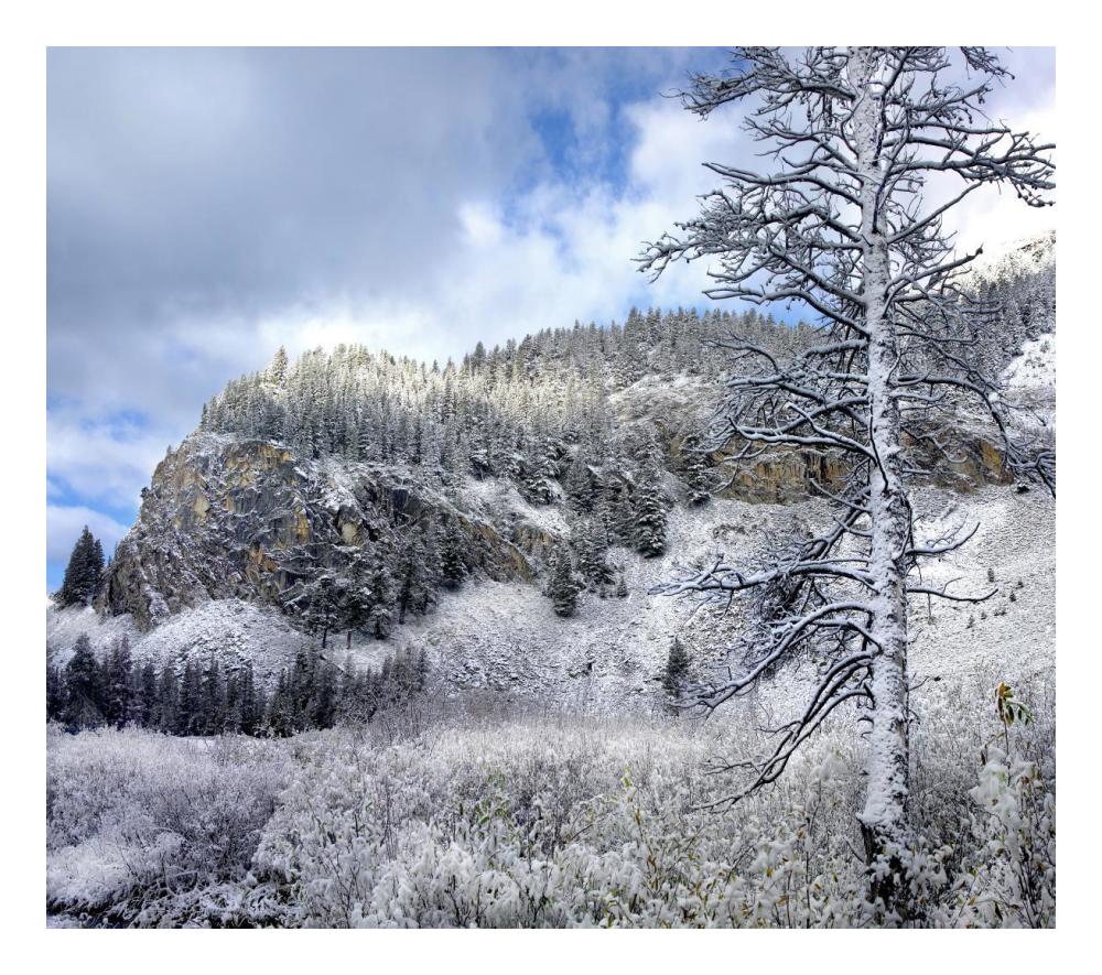 Light Snow Covering Boulder Mountains, Idaho-Paper Art-24,,X21.36,,