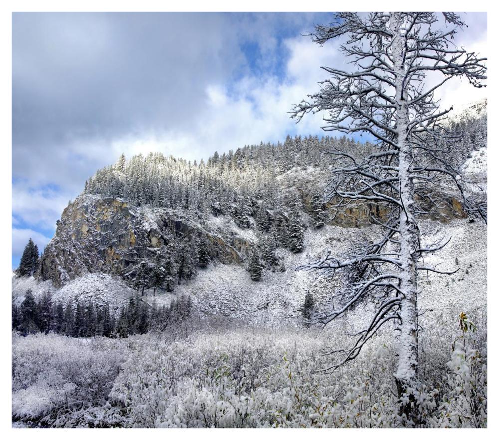 Light Snow Covering Boulder Mountains, Idaho-Paper Art-42,,X37.2,,
