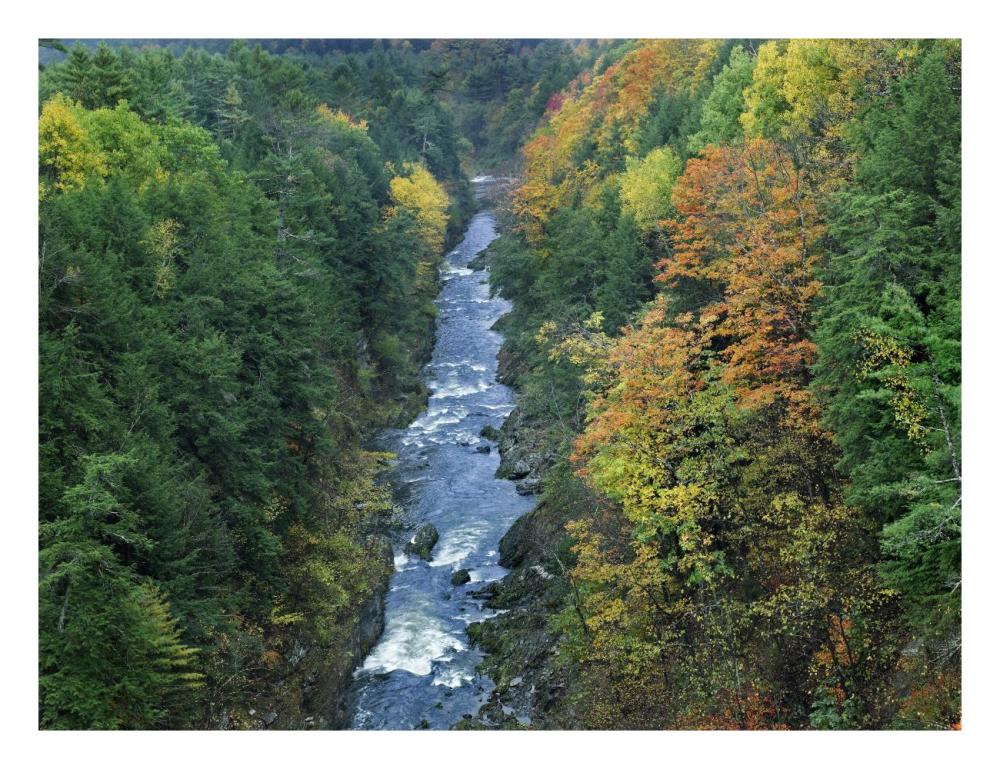 Ottauquechee River And Quechee Gorge, Vermont-Paper Art-26,,X20,,