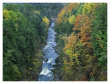 Ottauquechee River And Quechee Gorge, Vermont-Paper Art-42,,X32,,