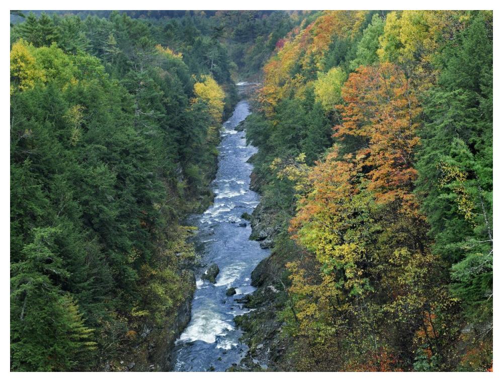 Ottauquechee River And Quechee Gorge, Vermont-Paper Art-50,,X38,,