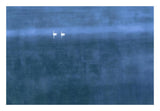 Trumpeter Swan Pair On Misty Elk Lake, Montana-Paper Art-26,,X18,,