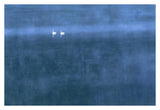 Trumpeter Swan Pair On Misty Elk Lake, Montana-Paper Art-38,,X26,,