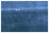 Trumpeter Swan Pair On Misty Elk Lake, Montana-Paper Art-50,,X34,,