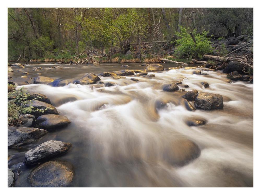 Oak Creek At Grasshopper Point, Sedona, Arizona-Paper Art-18,,X14,,