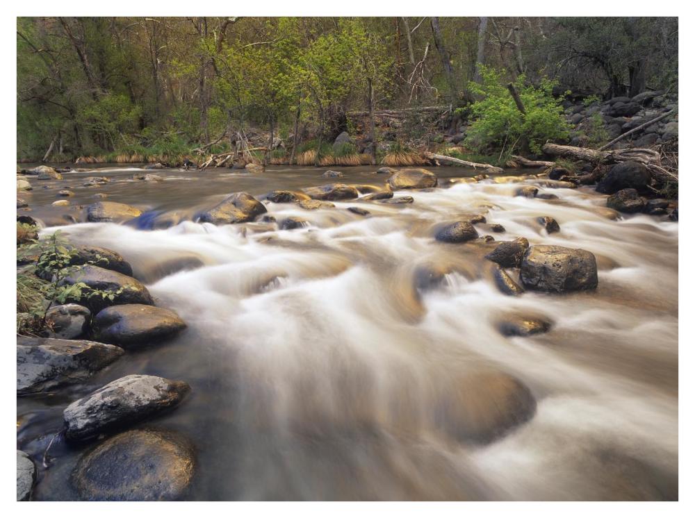 Oak Creek At Grasshopper Point, Sedona, Arizona-Paper Art-42,,X32,,