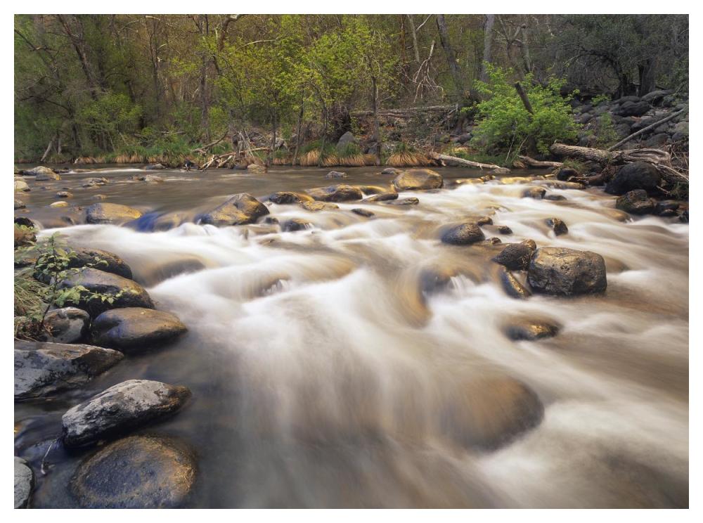 Oak Creek At Grasshopper Point, Sedona, Arizona-Paper Art-50,,X38,,