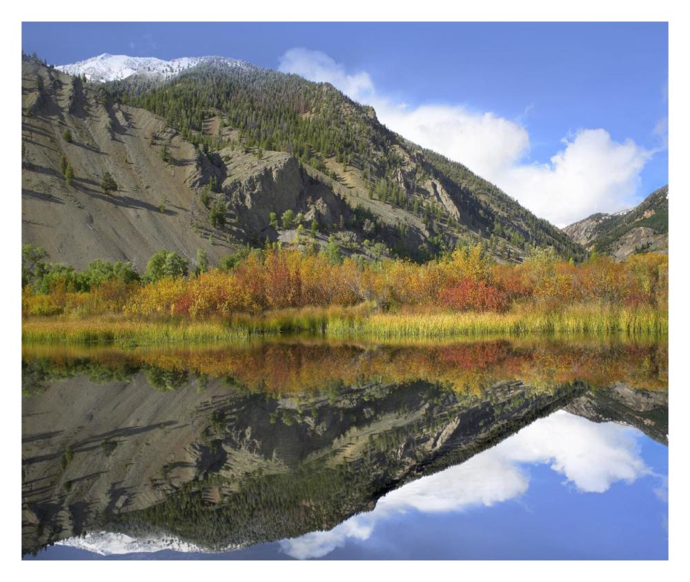 Boulder Mountains Reflected In Beaver Pond, Idaho-Paper Art-32,,X26.9,,