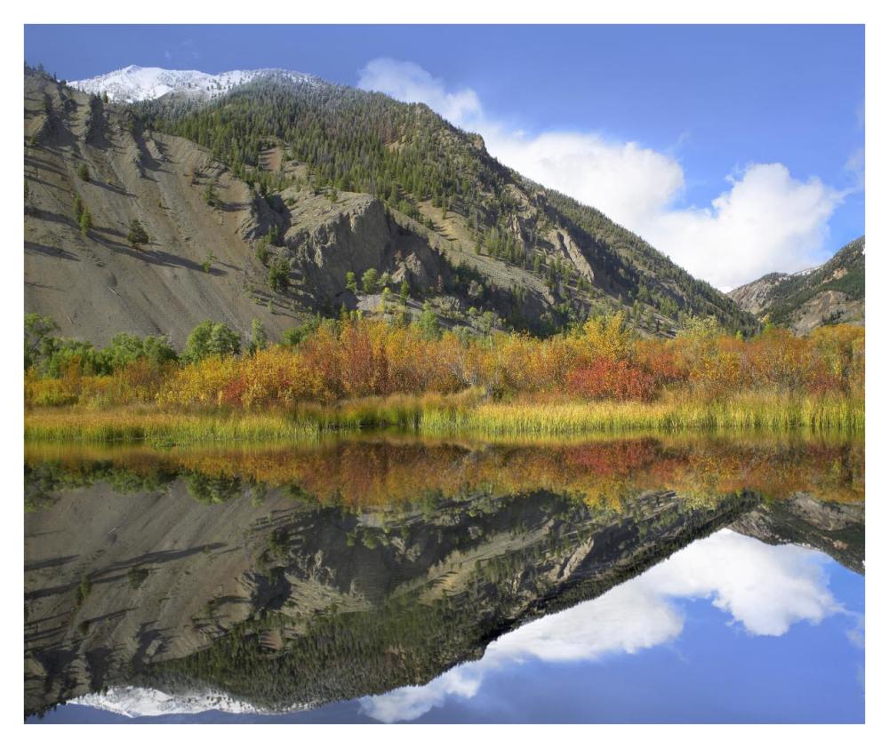 Boulder Mountains Reflected In Beaver Pond, Idaho-Paper Art-38,,X31.88,,