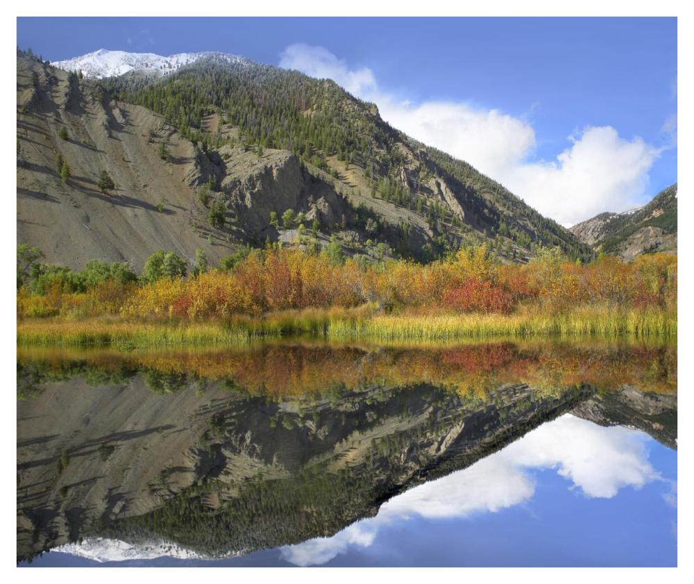 Boulder Mountains Reflected In Beaver Pond, Idaho-Paper Art-42,,X35.2,,
