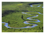 East River Meandering Near Crested Butte, Colorado-Paper Art-26,,X20,,