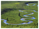 East River Meandering Near Crested Butte, Colorado-Paper Art-42,,X32,,