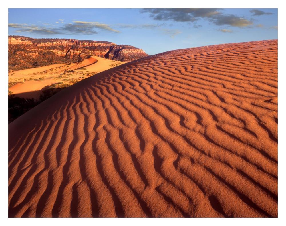 Sand Dunes, Coral Pink Sand Dunes State Park, Utah-Paper Art-18,,X14,,
