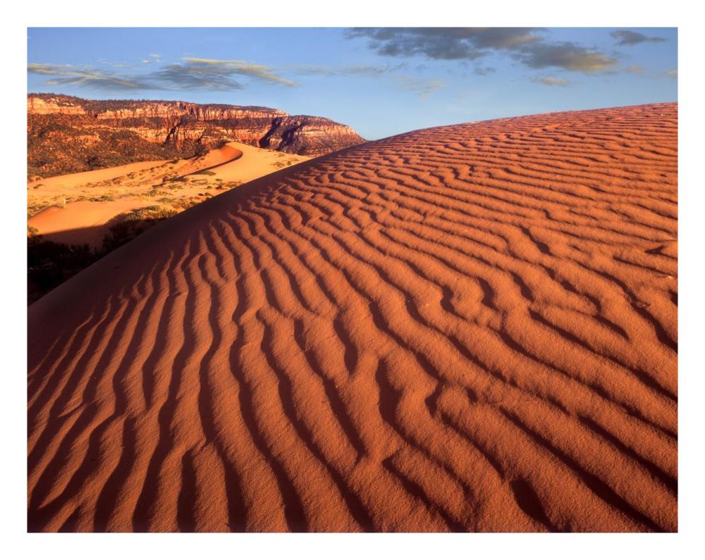 Sand Dunes, Coral Pink Sand Dunes State Park, Utah-Paper Art-26,,X20,,