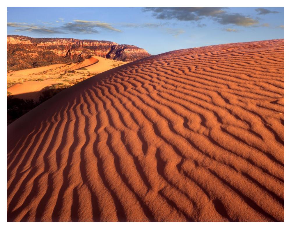 Sand Dunes, Coral Pink Sand Dunes State Park, Utah-Paper Art-42,,X32,,