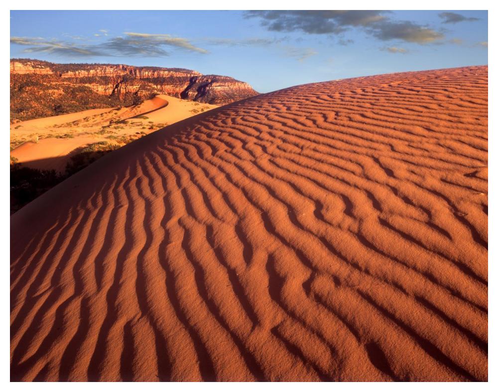 Sand Dunes, Coral Pink Sand Dunes State Park, Utah-Paper Art-50,,X38,,